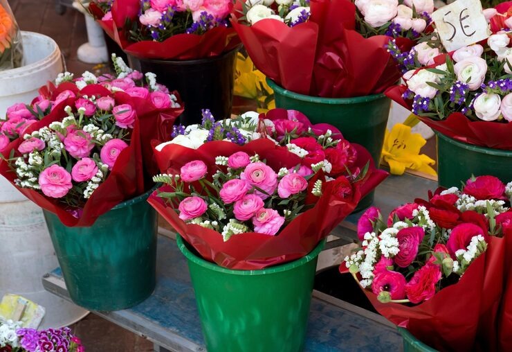 carnations in bulk