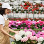 carnations in bulk